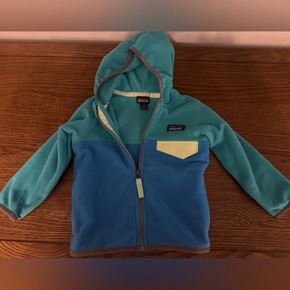 Patagonia Kids' Teal and Blue Fleece Hoodie - Picture 1 of 3